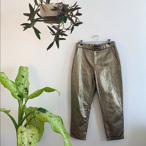 Zara Metallic Pants
